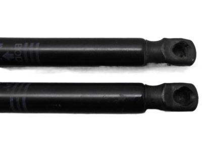 Chrysler Lift Support - 55362108AC