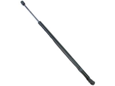 Chrysler Lift Support - 55362108AC
