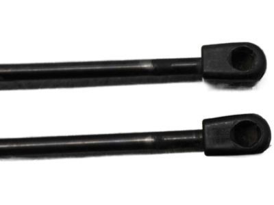 Chrysler Lift Support - 55362108AC