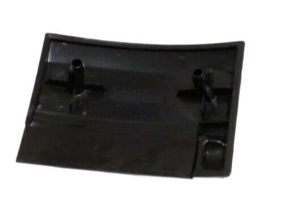 Dodge 55294970 Body Side Molding