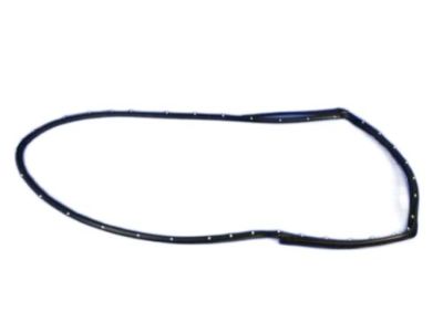 Jeep 55399215AD WEATHERSTRIP Rear Door Opening Mounted To The Door