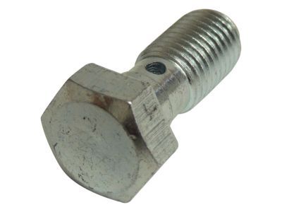 Dodge 6510161AA BOLT Banjo