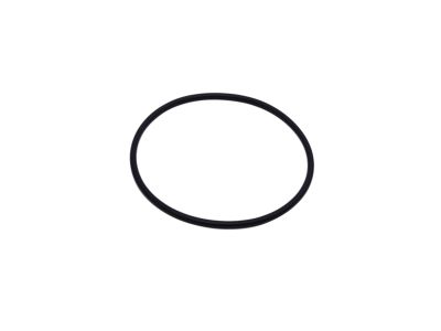 Mopar 68102940AA O Ring