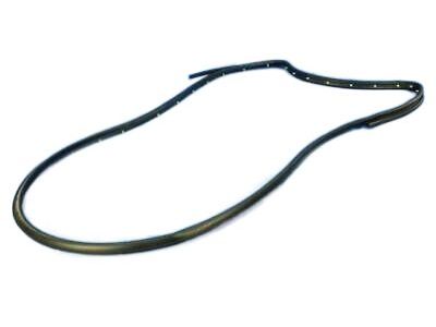 Jeep 55399214AD WEATHERSTRIP Rear Door Opening Mounted To The Door