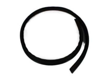 Ram 55112027AC Drip Molding