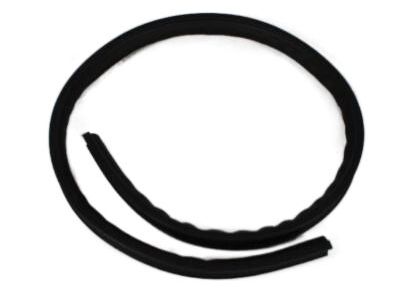 Ram 55112027AC Drip Molding