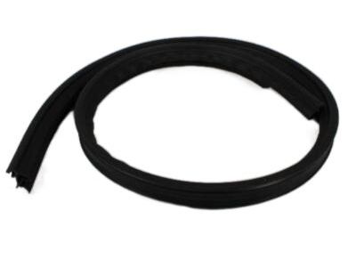 Ram 55112027AC Drip Molding