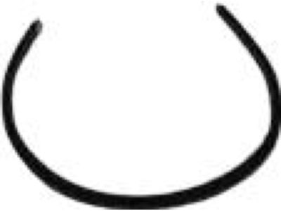 Mopar 55257406AA Seal Door, Front Lower