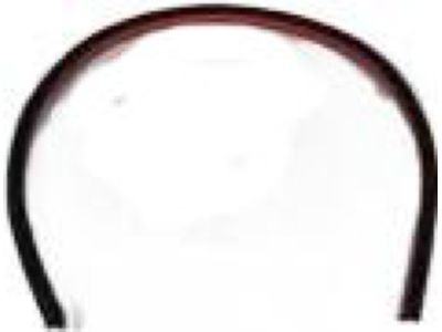 Mopar 55257406AA Seal Door, Front Lower