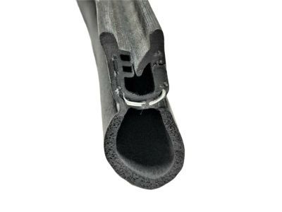 Ram 68233251AA WEATHERSTRIP Front Door Opening