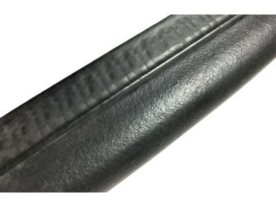 Ram 68233251AA WEATHERSTRIP Front Door Opening