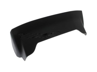 Ram 1WZ91DX9AB Closure Panel