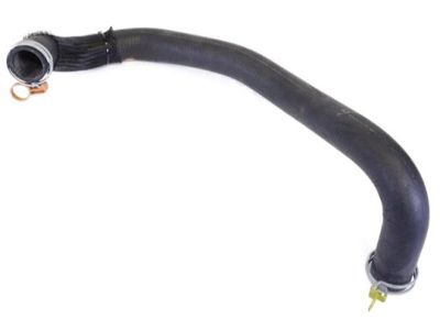 Chrysler 5039789AA Lower Hose