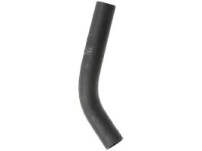 Ram 52029281AC Lower Hose