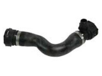 Ram 52029281AC Lower Hose