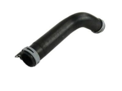 Ram 52029281AC Lower Hose