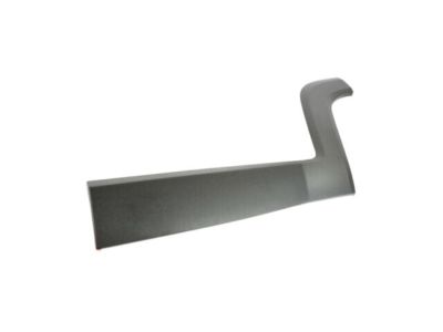 Jeep 5VX87LXHAA MOLDING Rear Door