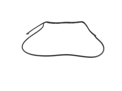 Mopar 55112362AE Weatherstrip Rear Door Mounted