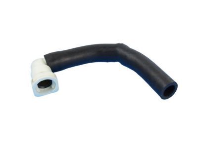 Dodge 52110233AD Canister Hose