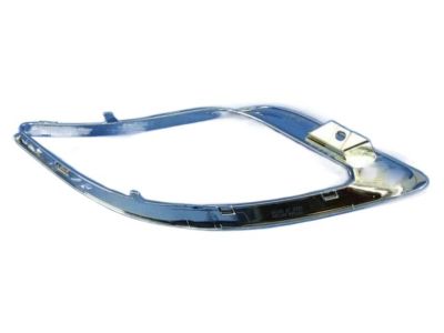 Dodge 5113744AB Trim Molding