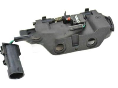 2010 Dodge Viper Door Handle - 5029145AC