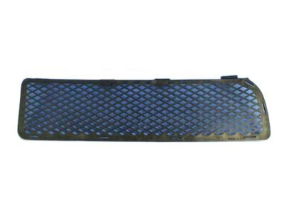 Dodge Ram 1500 Grille - YX65XXXAB