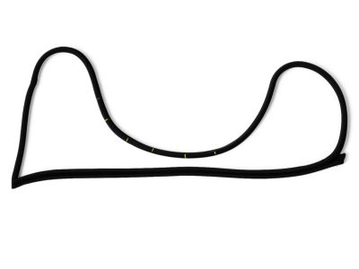 Mopar 68040044AD Weatherstrip Front Door Mounted