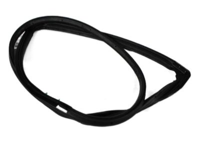 Jeep 55395719AD WEATHERSEAL DOOR TO BODY Rear FULL DOOR