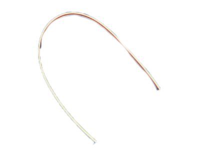 Chrysler 1DZ14XWGAA MOLDING Roof