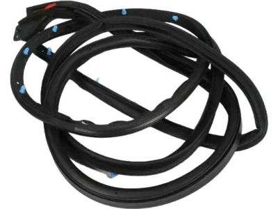 Mopar 68040045AI Weatherstrip Front Door Mounted