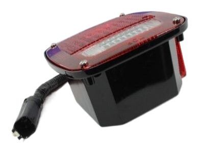 Dodge Tail Light - 55055271