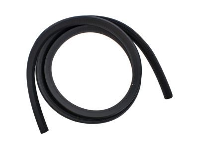 Jeep 55363160AA WEATHERSTRIP Liftgate Glass