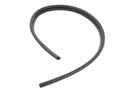 Dodge 68141384AC Side Seal