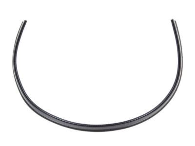 Dodge 68141384AC Side Seal