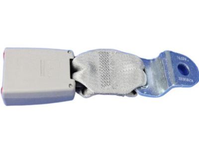 Dodge Grand Caravan Seat Belt - ZV901D1AA