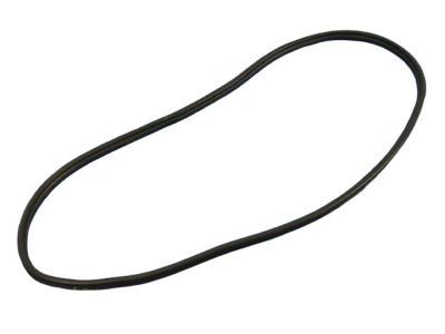 Jeep Door Seal - 55399255AE