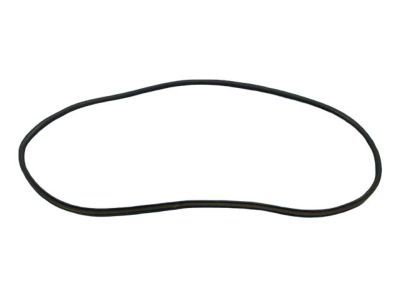 Jeep Door Seal - 55399255AE