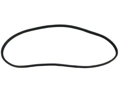 Jeep Door Seal - 55399255AE