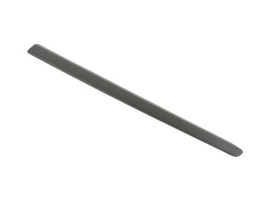 Ram Door Moldings - 5YF68JXWAA