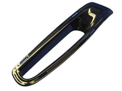 Mopar 1WC62DX8AA Bezel