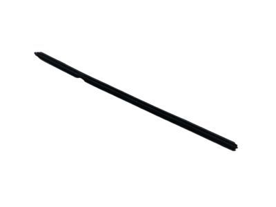 Dodge 68040036AD Belt Weatherstrip