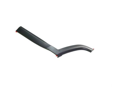 Mopar 5UP27RXFAB Body Side Molding, Rear Driver Side