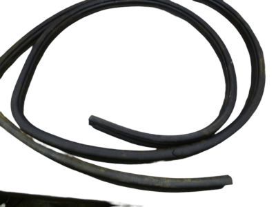55359201AA Mopar Weatherstrip Cargo Door Product Photo 2 of 3
