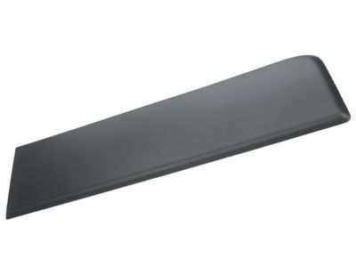 Ram Door Moldings - 1ZT29LAHAA