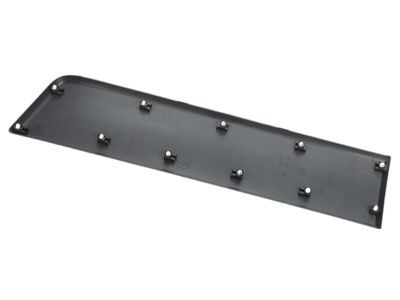 Ram Door Moldings - 1ZT29LAHAA