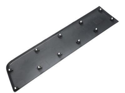 Ram Door Moldings - 1ZT29LAHAA