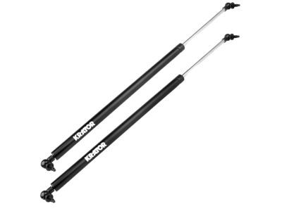Dodge Caravan Lift Support - 4894554AG