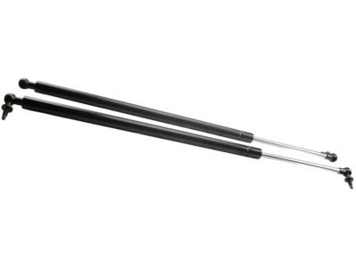 Dodge Caravan Lift Support - 4894554AG