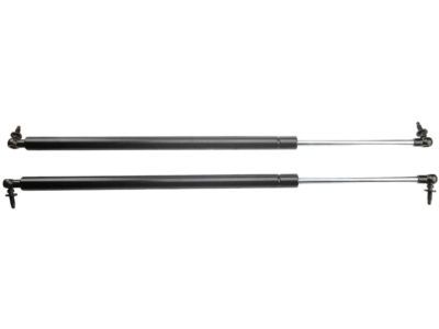 Dodge Caravan Lift Support - 4894554AG