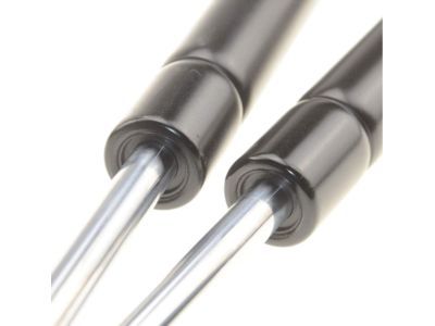 Dodge Caravan Lift Support - 4894554AG